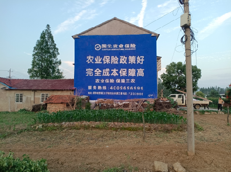 甘洛墙体广告为何受追捧?