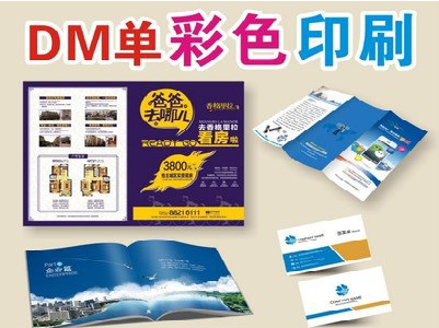 甘洛单页印刷，色彩搭配简单。